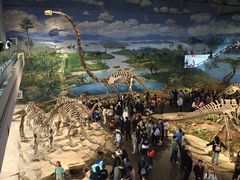 -自贡恐龙博物馆