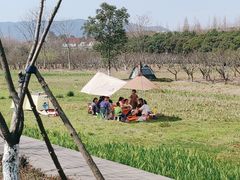 -长田漾湿地公园