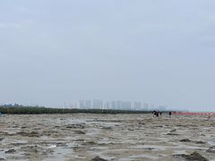 -北海金海湾红树林生态旅游区