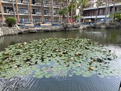 -三亚亚龙湾雅高铂尔曼别墅度假酒店