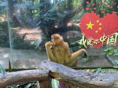 -海南热带野生动植物园