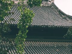 -龙华寺