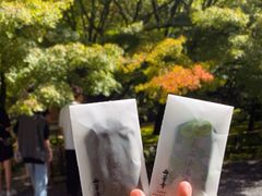 -西芳寺(苔寺)