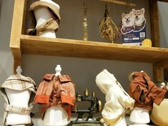 -狗道宠物(常熟印象城店)