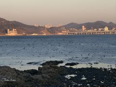 -黑石礁公园