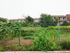 -梁子湖东篱老屋生态庄园