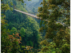 -川西竹海景区