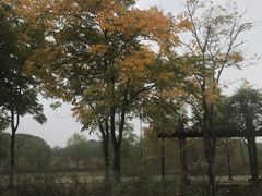 -梁鸿国家湿地公园