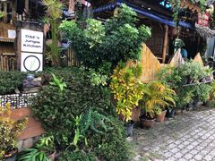 -Jungle Kitchen
