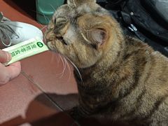 -超鹿运动(五四路恒力城店)