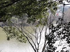 -中华孝德园