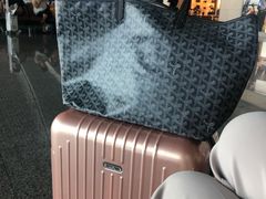 -Goyard 高雅德(国贸商城店)