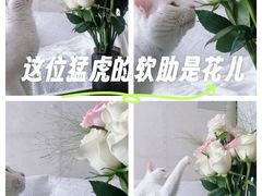 -青岛葡萄酒博物馆