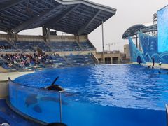 -上海海昌海洋公园