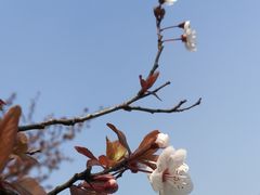 -广富林郊野公园
