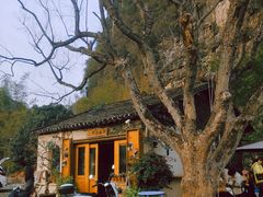 -村上春树