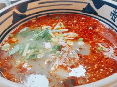 -老碗会·陕西手工面(前海世茂店)
