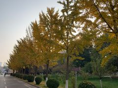 -山东大学(千佛山校区)