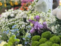 -亭亭鲜花店(中山北路店)