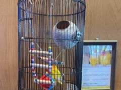 -西安威斯汀大酒店