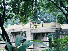 -晓港公园