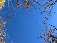 -安德鲁户外烧烤帐篷营地(马泉营店)