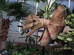 -中国西峡恐龙遗迹园