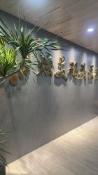 点击看大图 -北京炫美医疗美容