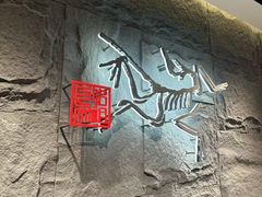 -ARC'TERYX始祖鸟(北京王府中环店)