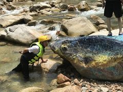 -九龙江国家森林公园