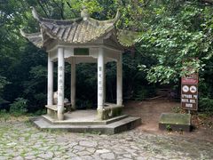 -紫金山山顶公园