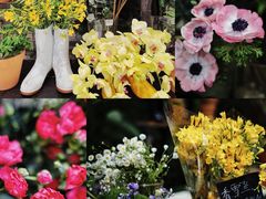 -PlantsEatery·植物食堂(REX春熙店)
