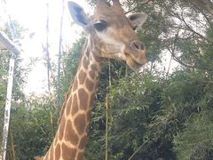 -泉州海丝野生动物世界