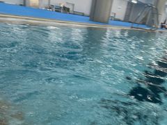 -北京科技大学-游泳馆