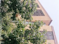 -白桦林温泉谷