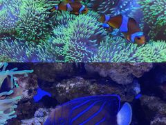 -多彩贵州城极地海洋世界