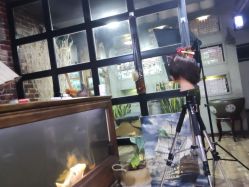 -青木造型HAIR·あおき髪を刈る潮人店