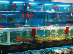 水产区-海大大蒸汽海鲜餐厅·粤菜·特色小炒(欢乐颂店)