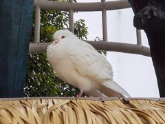 -成都欢乐谷