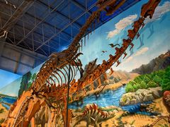 -西峡恐龙遗迹园