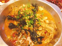 稀溜耙双爪-老号尤兔头(西川店)