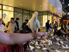 -中航城君尚购物中心