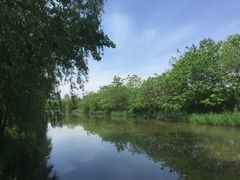 -新江湾城公园