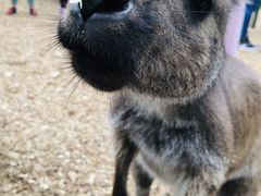 -费瑟代尔野生动物园