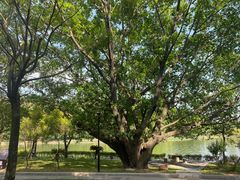 -南国桃园旅游度假区