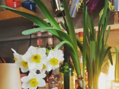 -251#coffee roasters(沿河东路店)