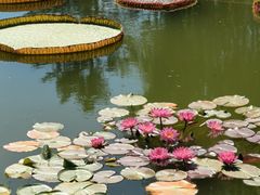-国家植物园南园