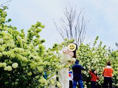 -大龙山(地铁站)