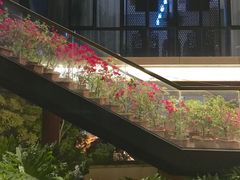 -金鸡山公园