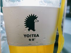 -YO!TEA有茶(科兴科学园店)